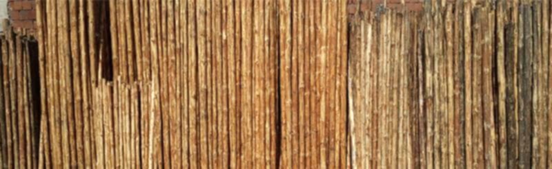 İthal Çam Sırık Kereste